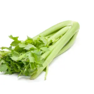 Celery Seed Essential Oil
